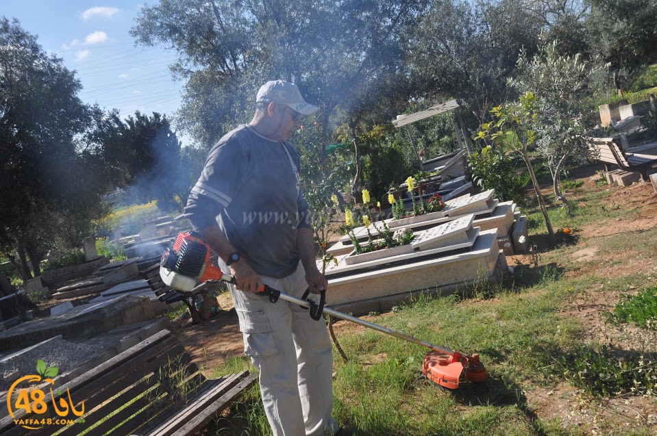 tasohamlalanjna (33).jpg